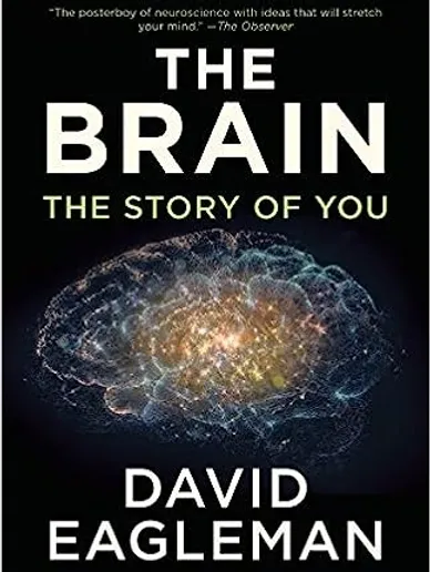 The Brain, TheStory of You